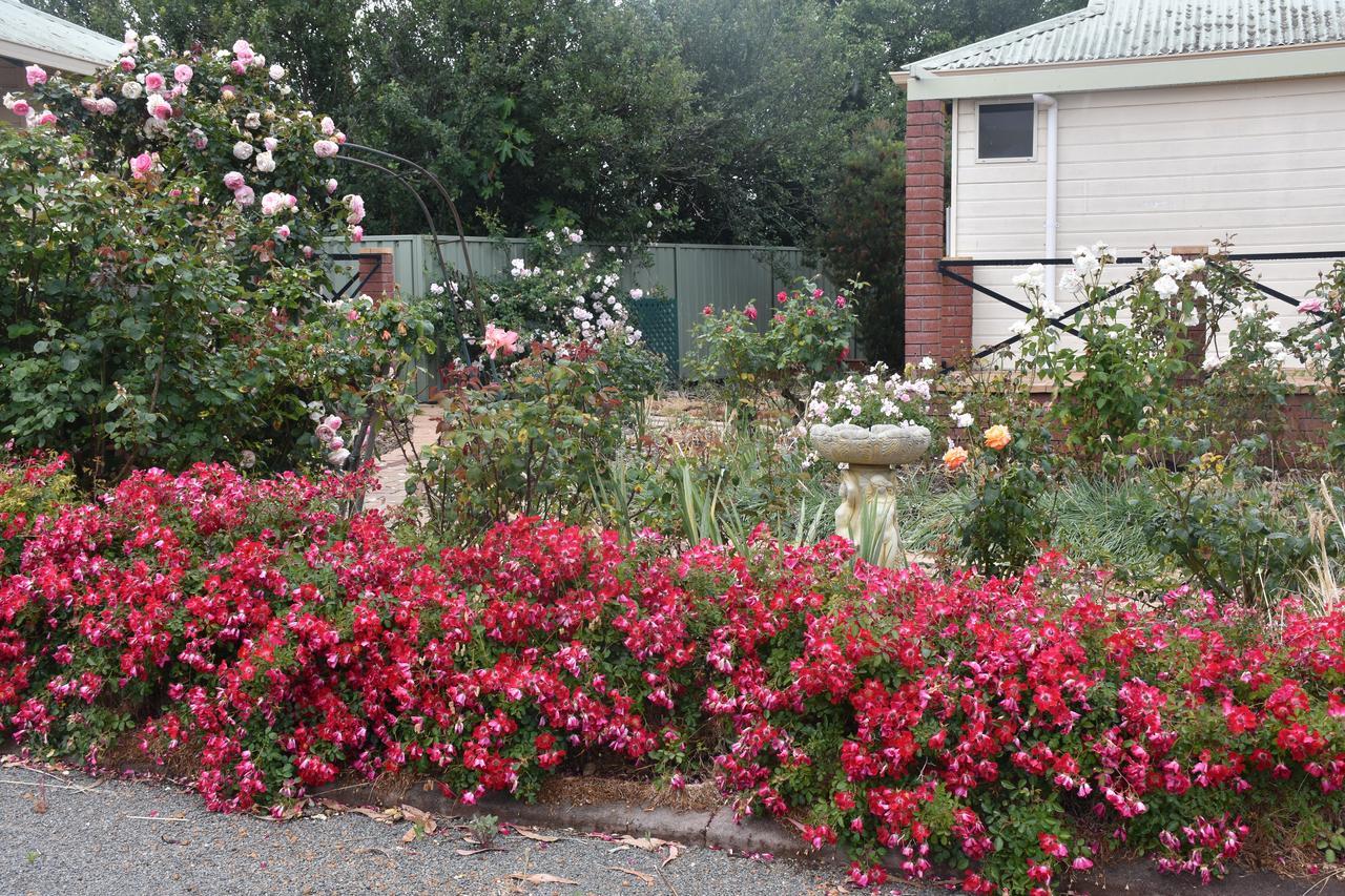 Mount Barker Valley Views Motel & Chalets, Western Australia Dış mekan fotoğraf